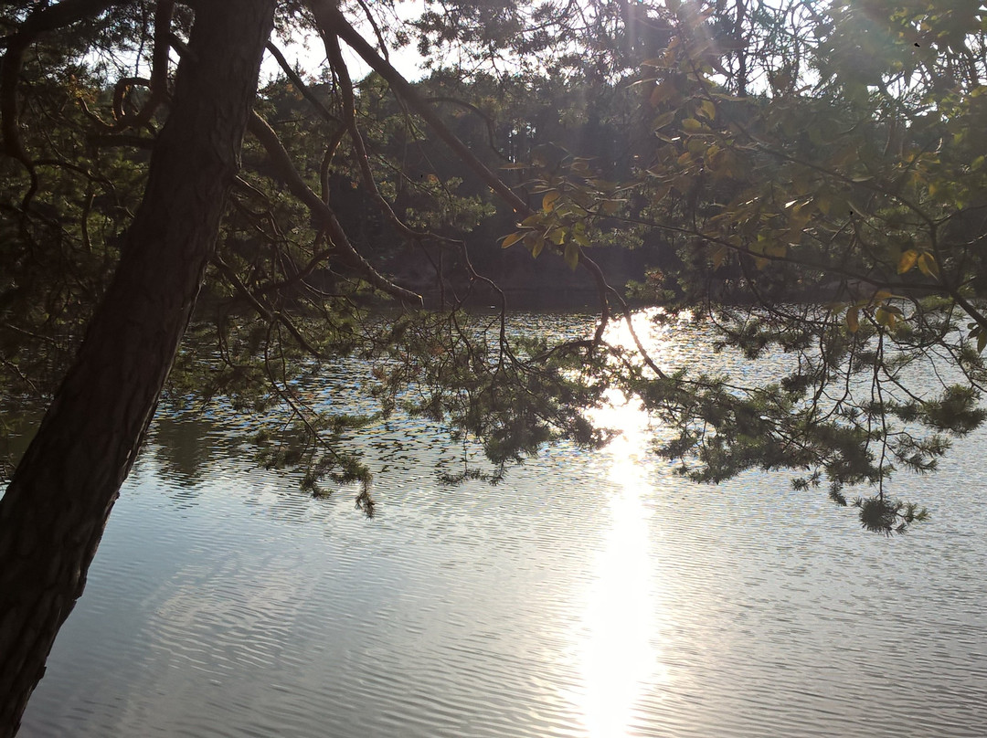Lago di Costalovara-Renon必去景点