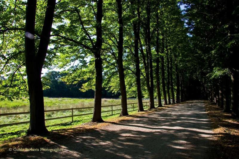 Parco Golfo Della Quassa景点图片