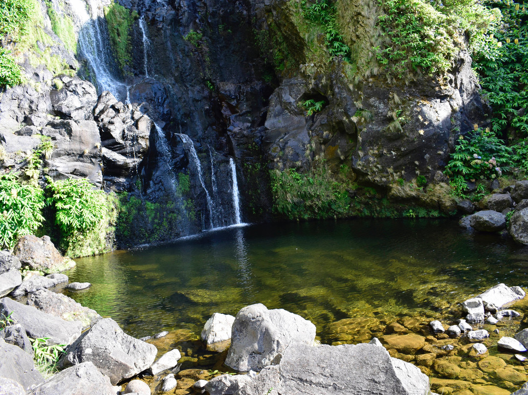 Flores旅游景点-Cascata do Poço do Bacalhau