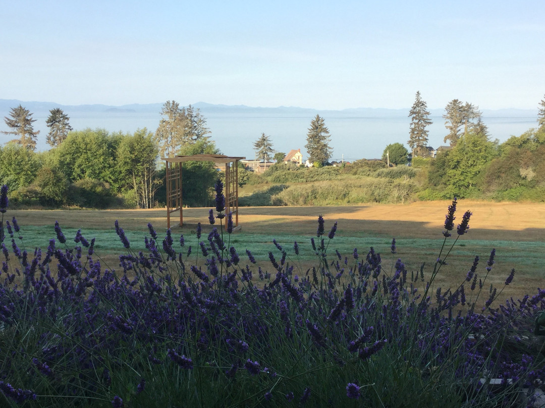 Gordon's Beach Farmstay主图