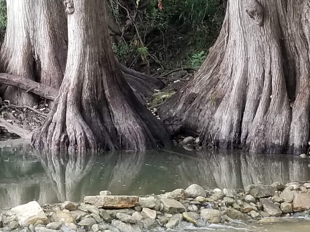 James Kiehl River Bend Park-Comfort必去景点