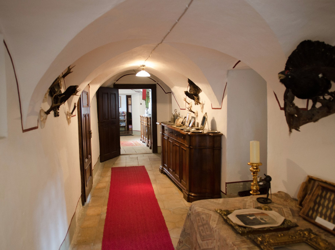 Schloss Rothenthurn景点图片