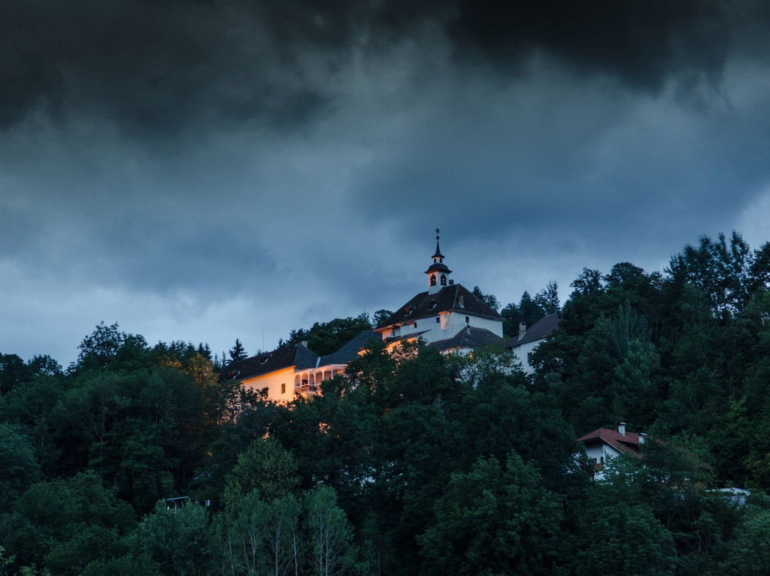 Schloss Rothenthurn景点图片