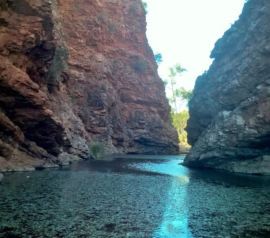 Kathleen Buzzacott Art Studio-爱丽斯泉必去景点