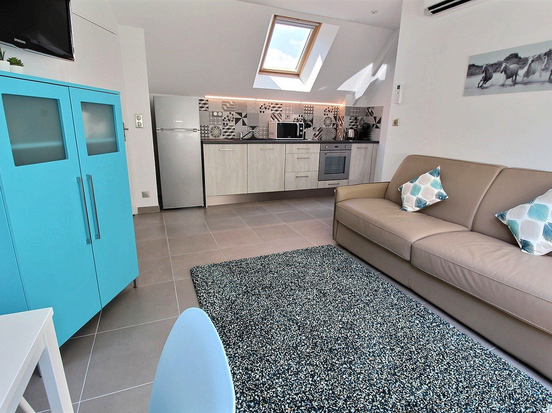 Logis Saponine主图