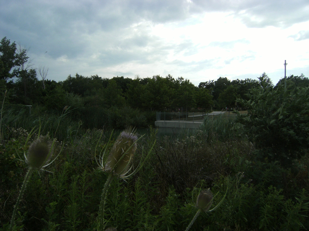 Lakeside Park-米西索加必去景点