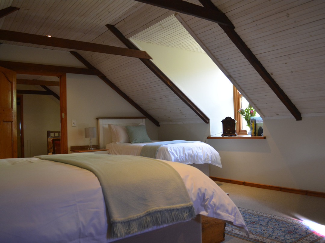 El Gallo Guest Accommodation主图