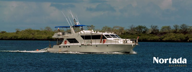 Nortada Galapagos-圣克鲁斯必去景点