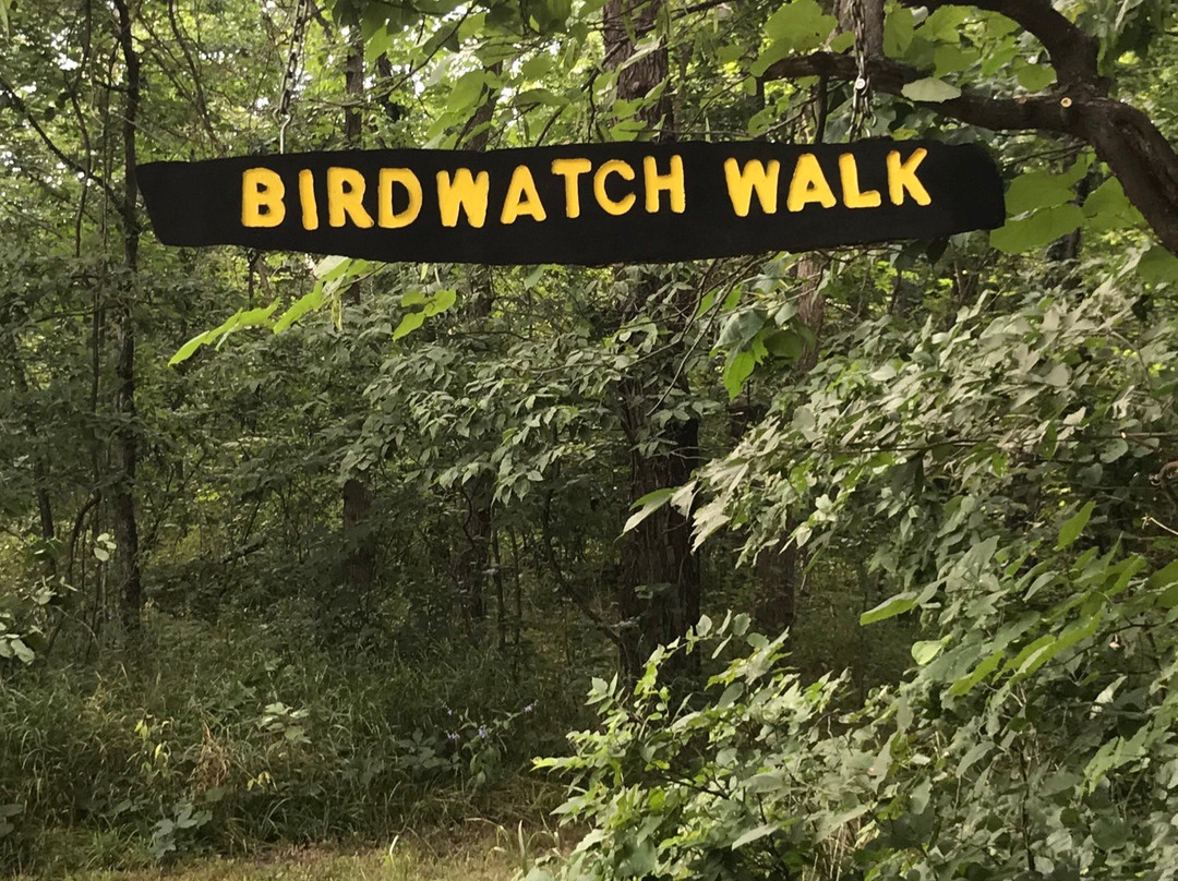 Indian Lake Park-Farmington必去景点