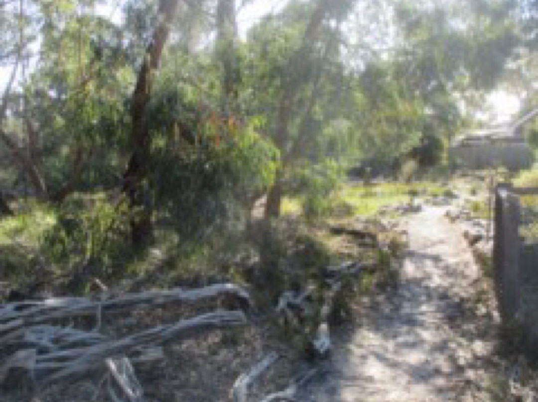 Highett旅游景点-George Street Reserve