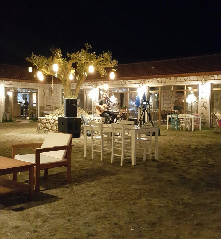 Sarkoy餐馆和美食-Saray Bayiri