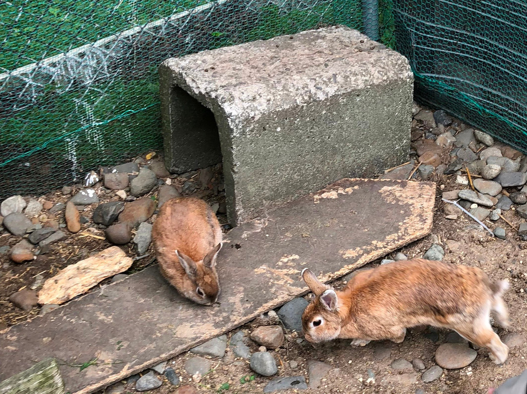 Hokkaido Hakone Farm-千岁市必去景点