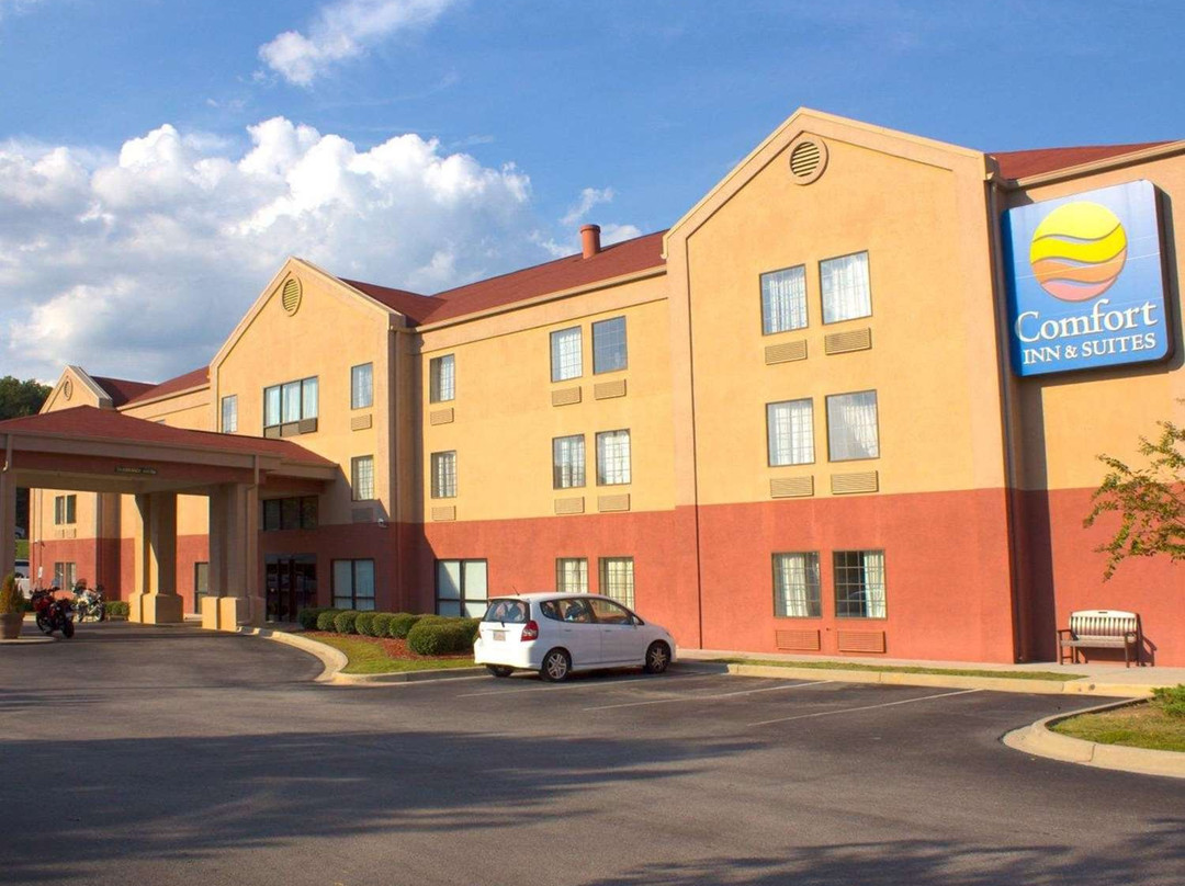 Comfort Inn & Suites Trussville I-59 Exit 141主图