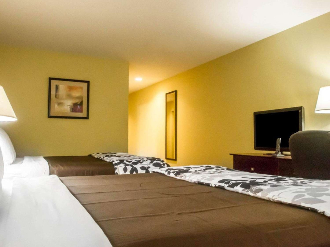 Suburban Studios主图