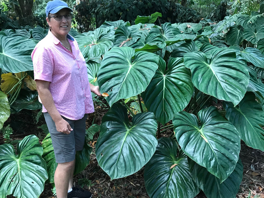 Whyanbeel Arboretum-Whyanbeel必去景点