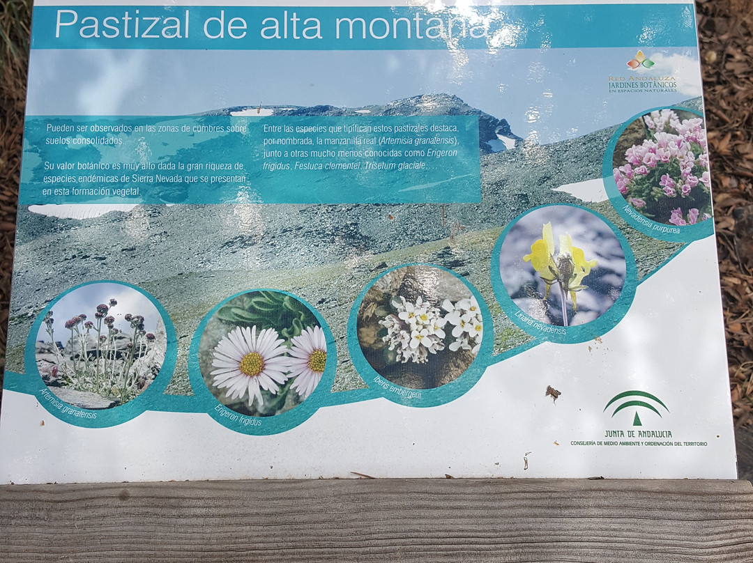 Jardín Botanico Hoya de Pedraza-萨拉内瓦达国家公园必去景点