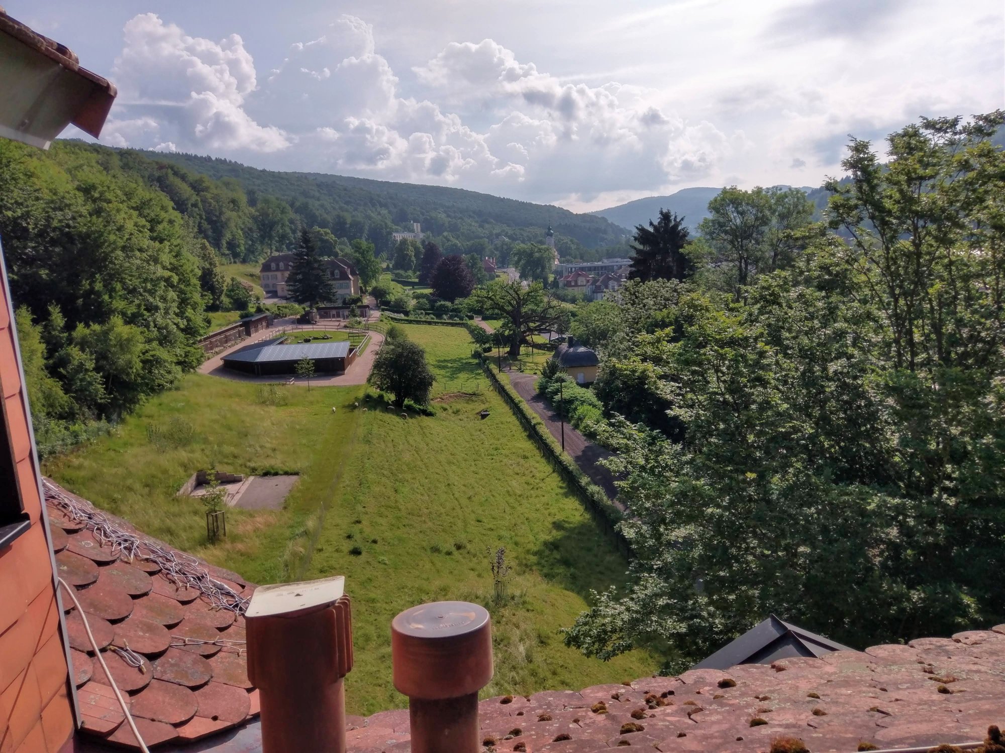 Rhöen Hotel Waldcafé St. Georg-酒店景观