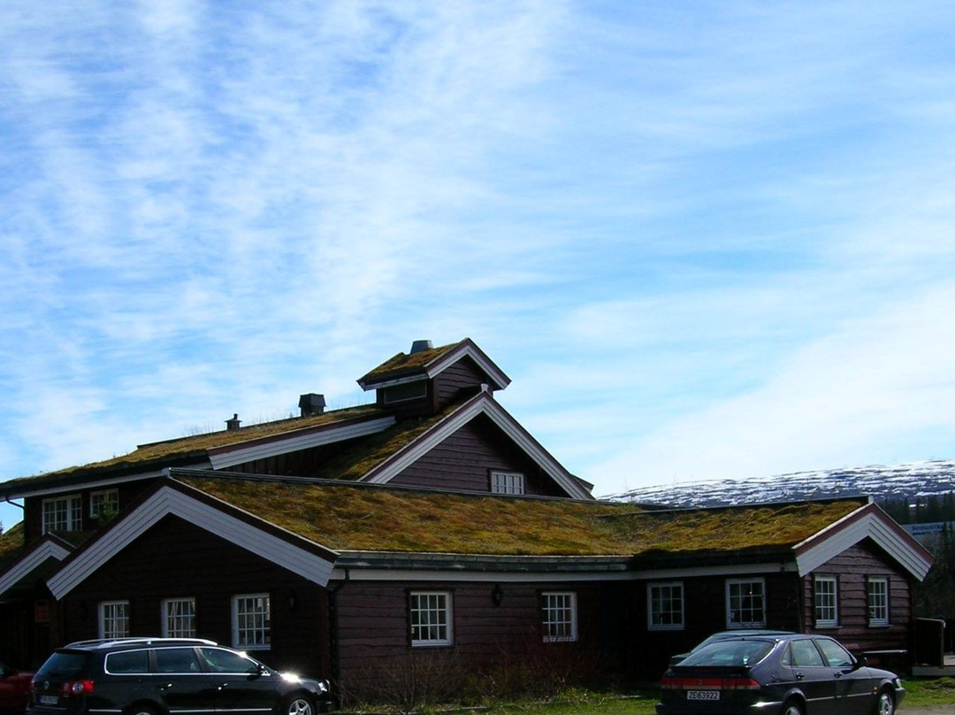 Bimbo Veikro, Accommodation主图