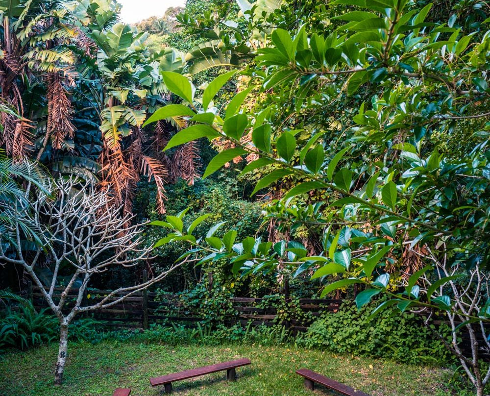 Bushbuck Lodge主图