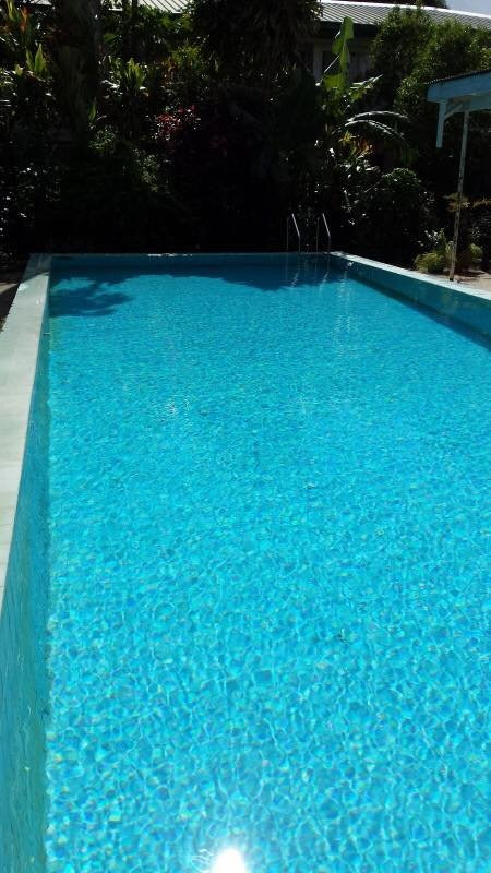 The Friendly Islander- Papiloa's Place.主图