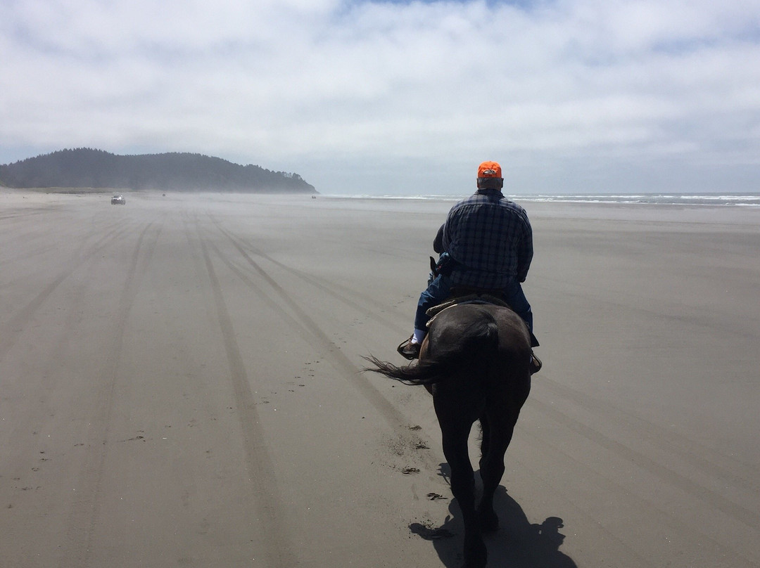 Back Country Horse Rides景点图片