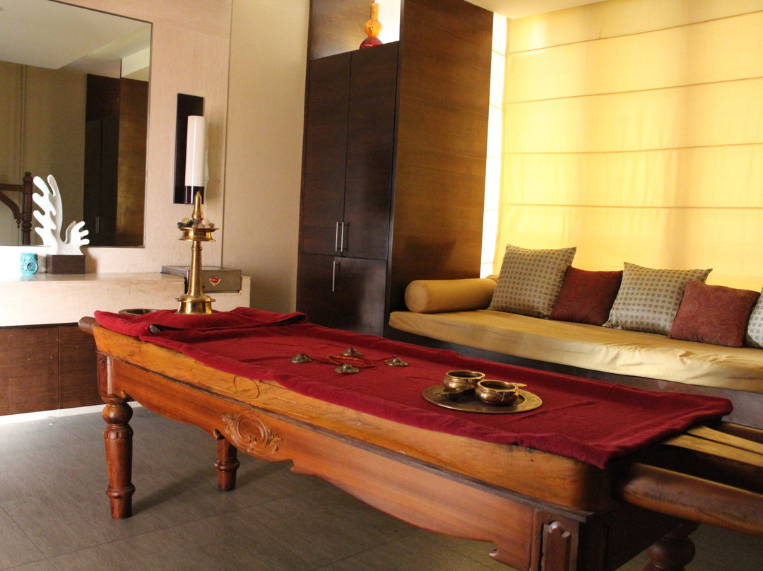 The Spa at Hyatt Hyderabad景点图片