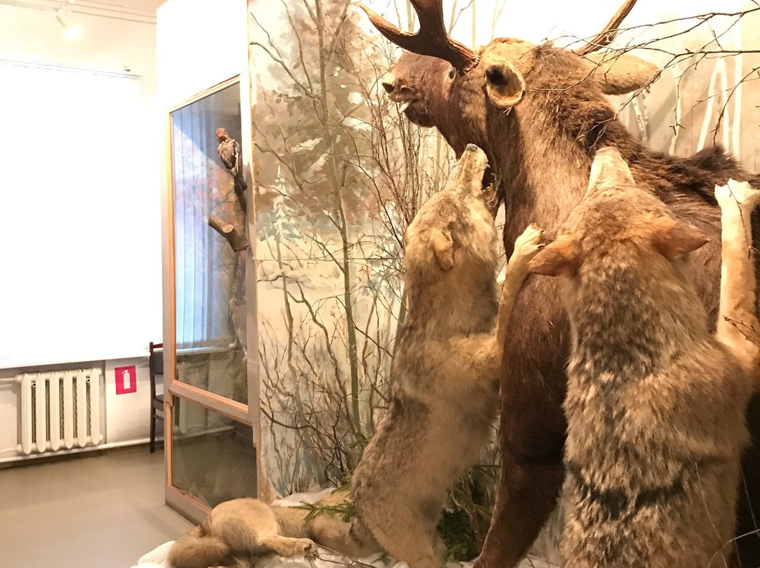 Galich Museum of Local Lore景点图片