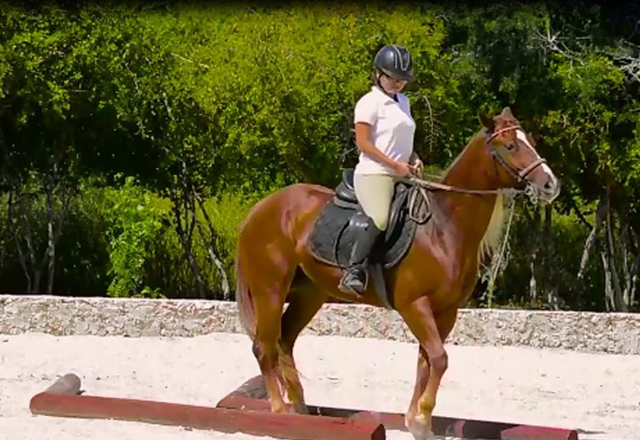 Maya Amazing Adventures-梅里达必去景点