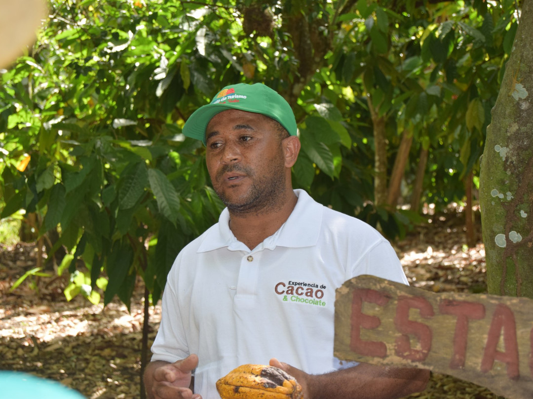 Hacienda Cufa-普拉塔港必去景点