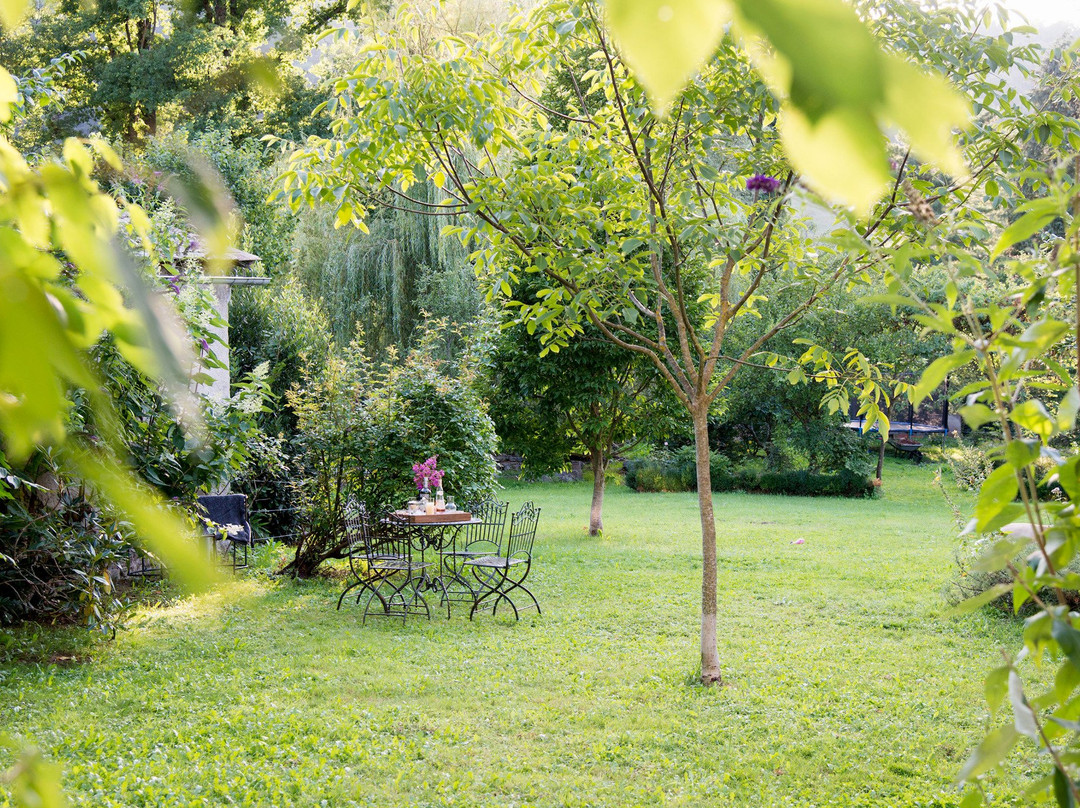 Résidence Crone主图