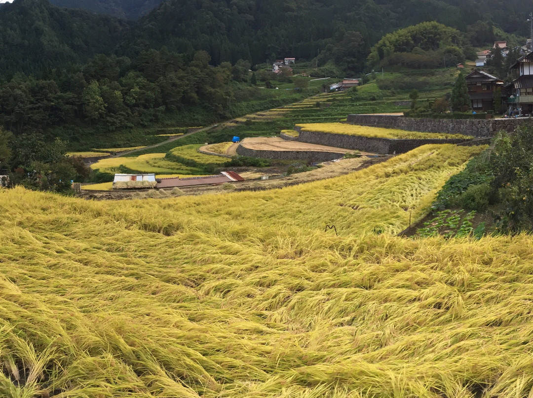 Ini Rice Terraces-安艺太田町必去景点