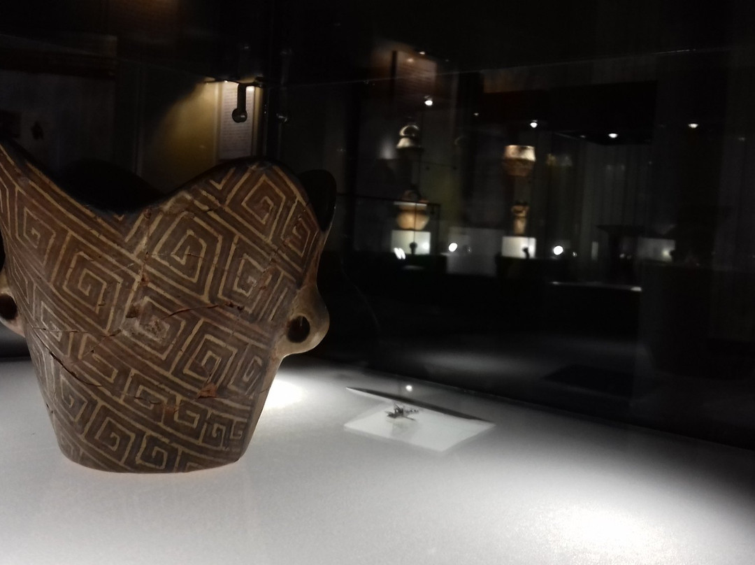 Cucuteni Neolithic Art Museum景点图片