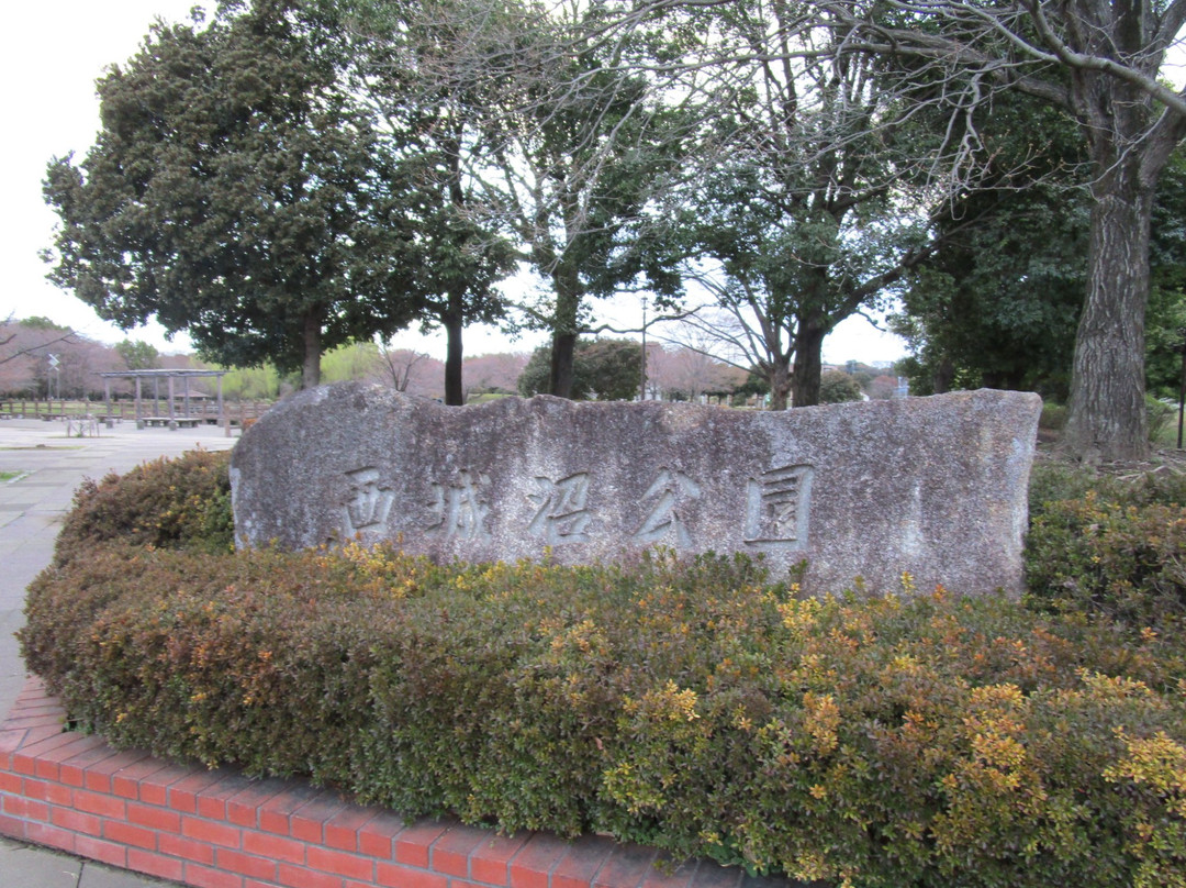 Saijonuma Park-莲田市必去景点