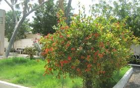 Hotel Rayan Djibouti-浴室