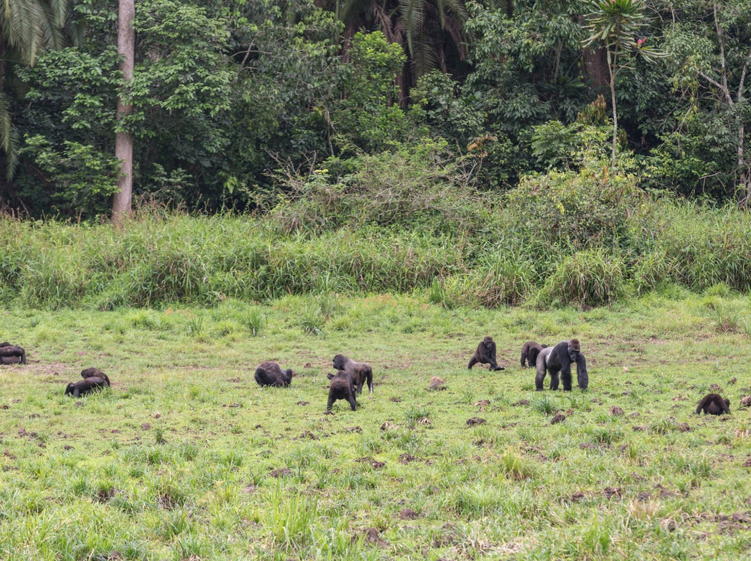 East Region旅游攻略图片