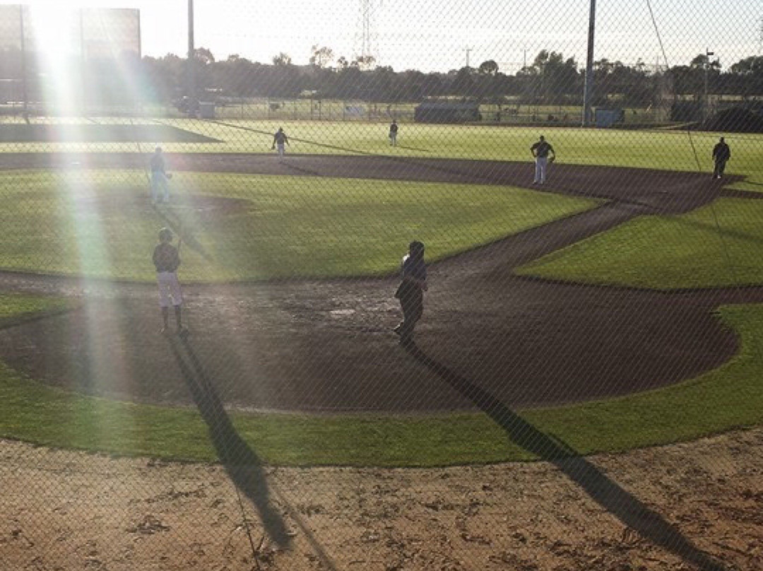 null-戈罗芙代尔