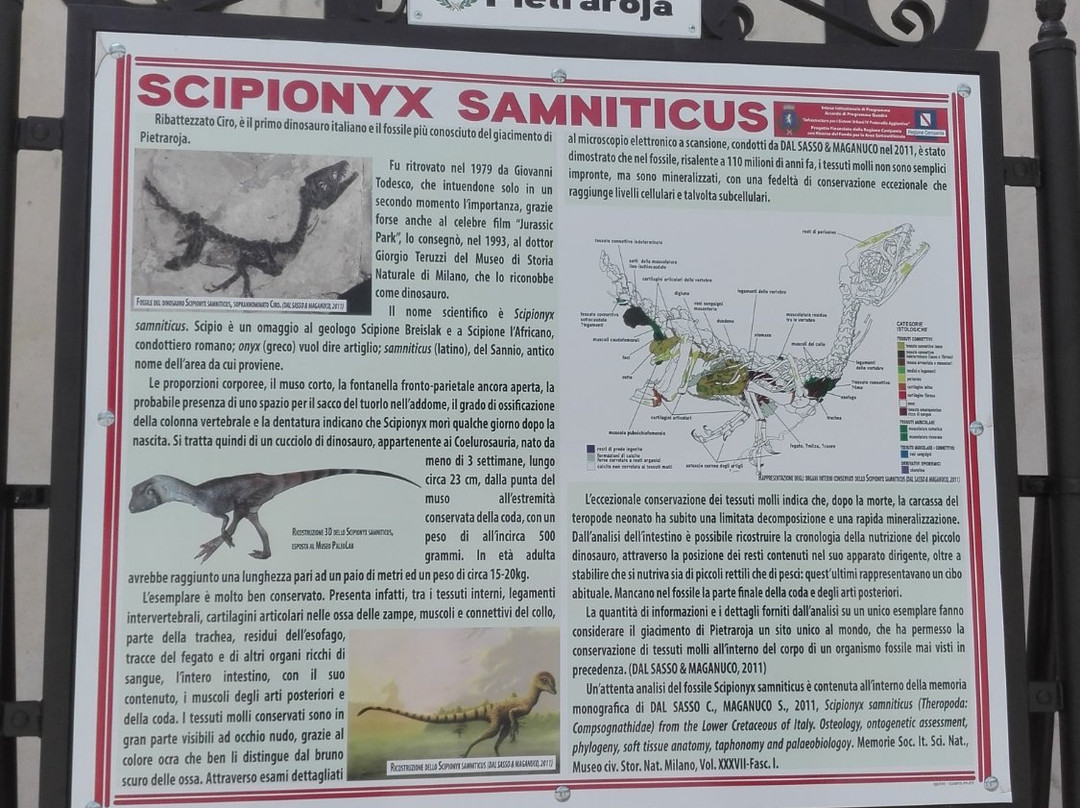 Paleolab-Pietraroja必去景点