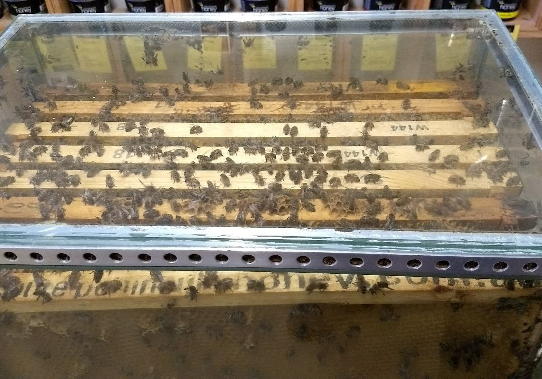 Pure Peninsula Honey景点图片