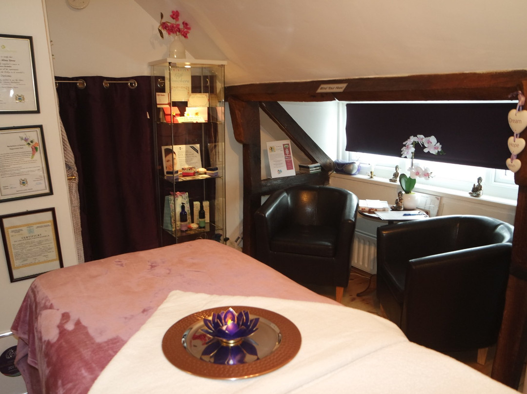 Alina Holistic Health Clinic & Training-Alton必去景点