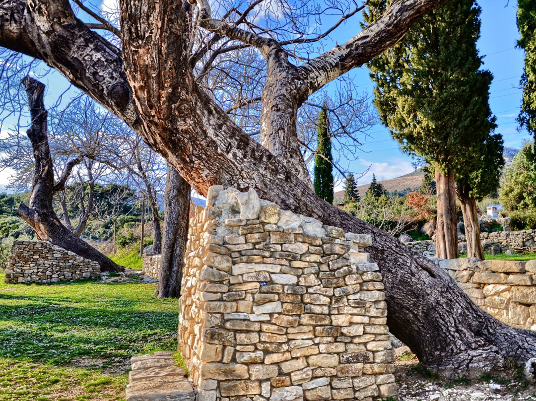 Biblical Garden Stomorija景点图片