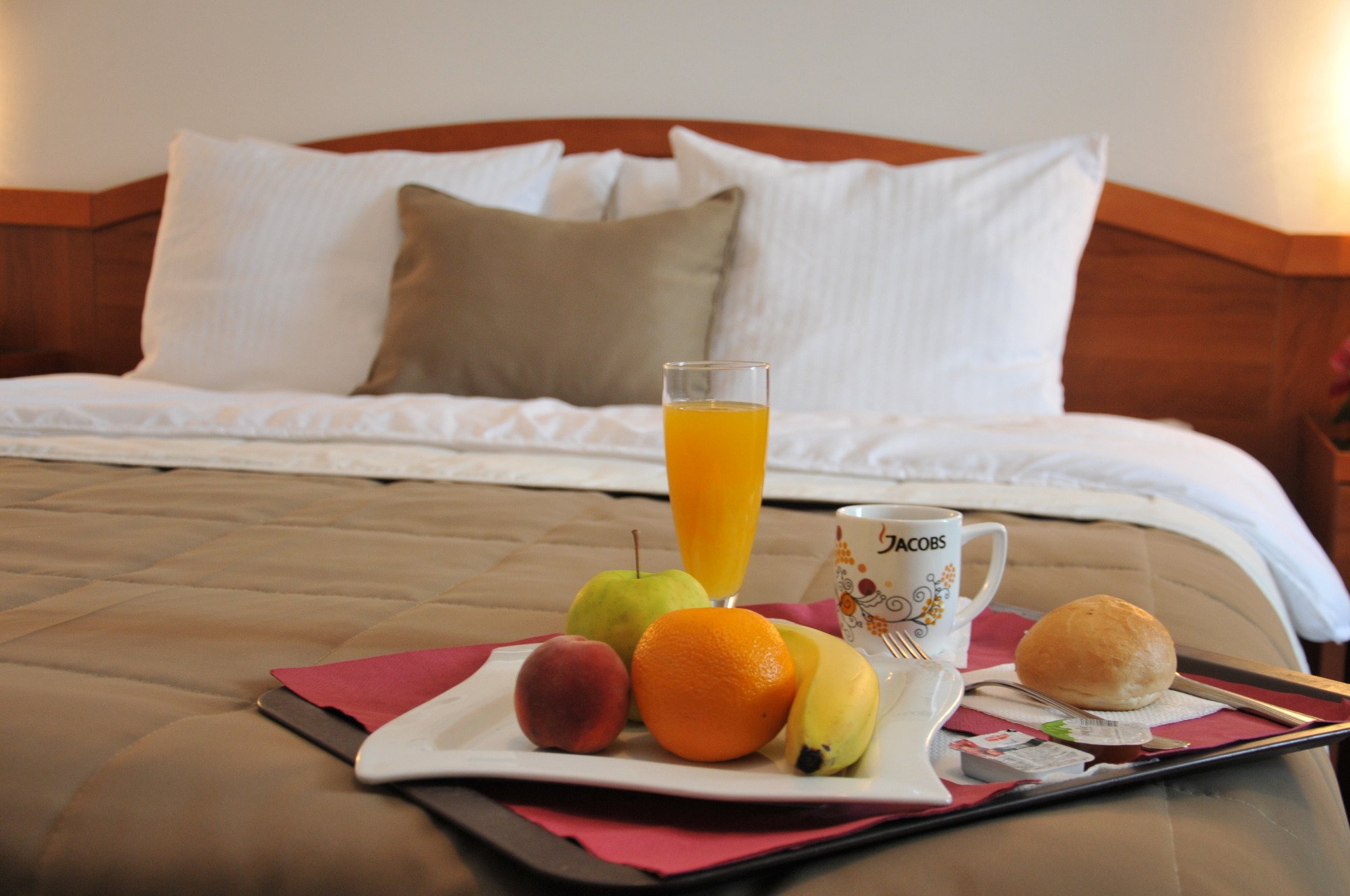 Hotel Terex-官方