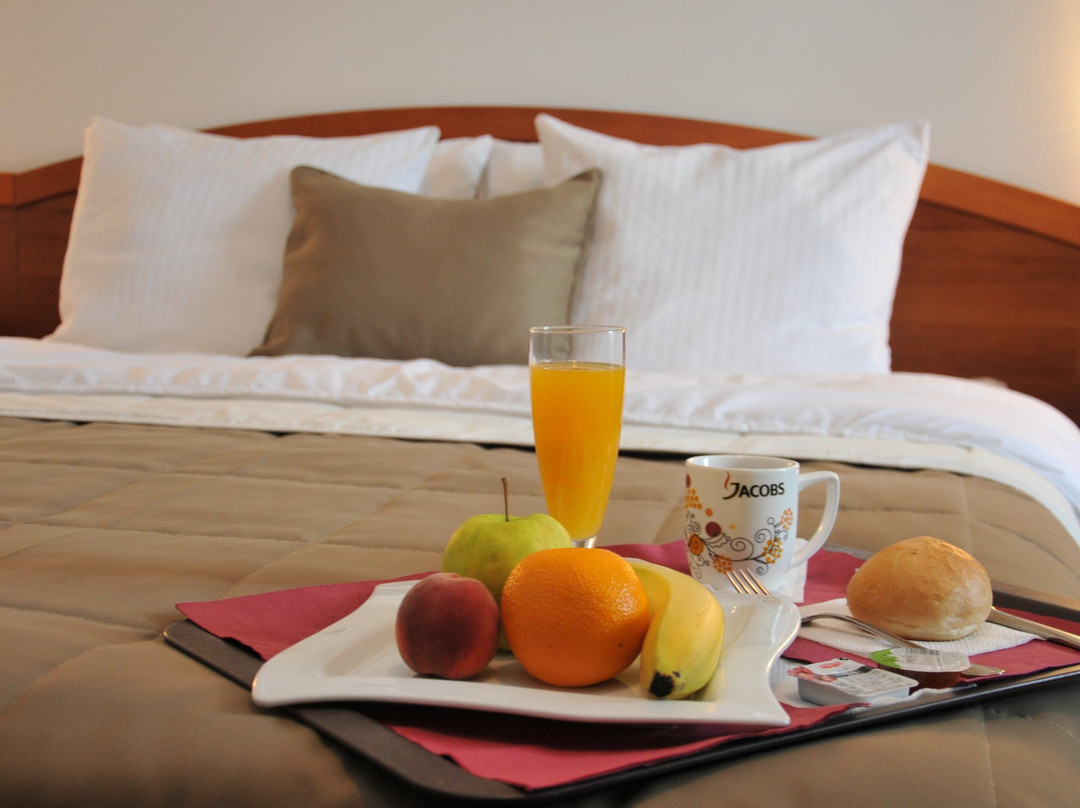 Krivoglavci酒店住宿-Hotel Terex