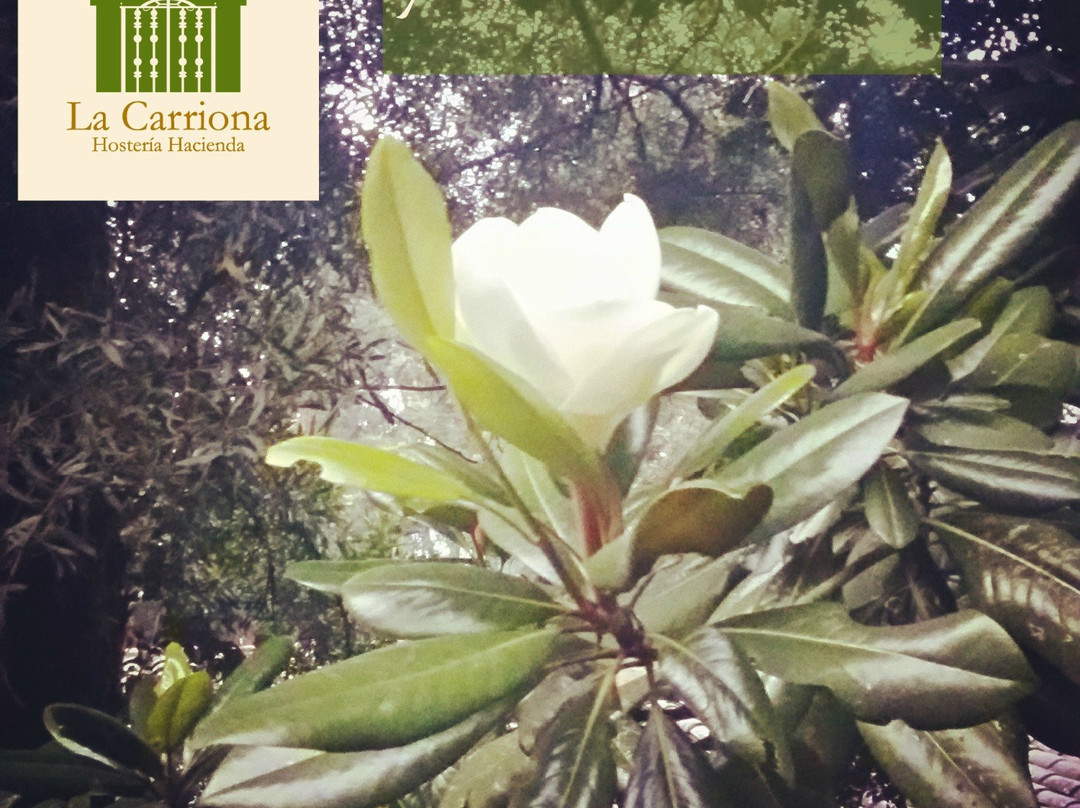 Hacienda La Carriona主图