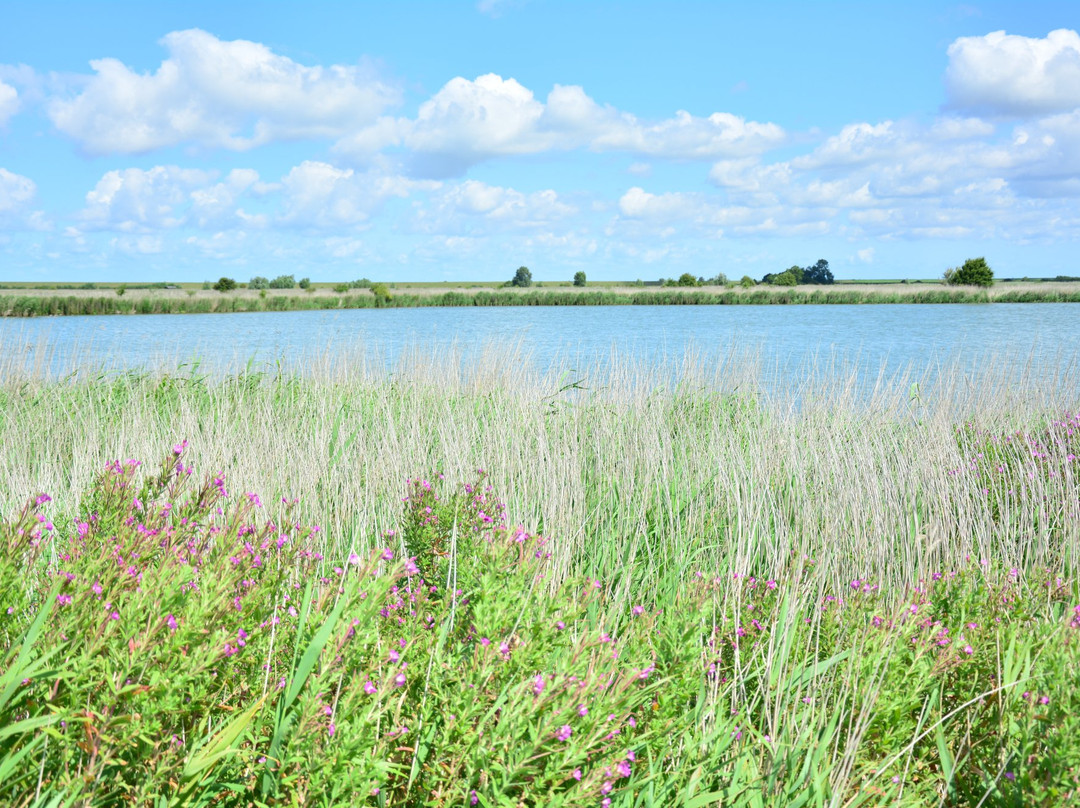 Vogelbeobachtungshütte am Leyhörn