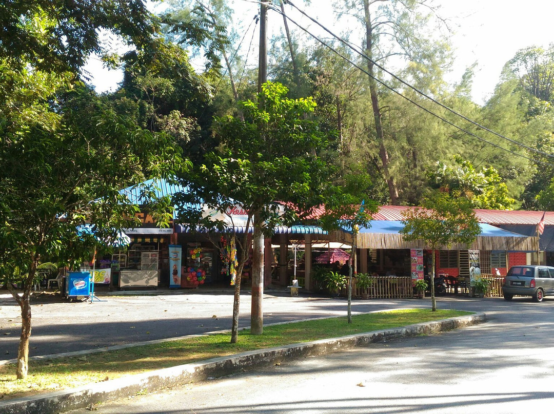 Teluk Bahang Forest Eco Park-丹容武雅必去景点