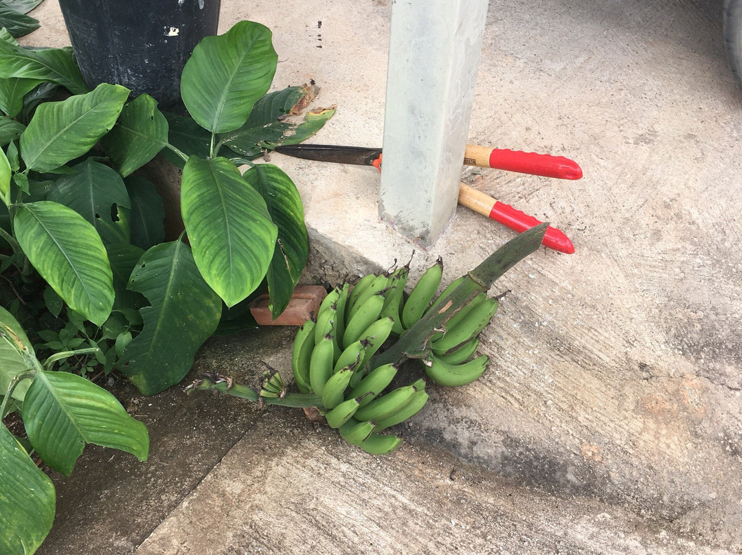 Milin Guesthouse主图