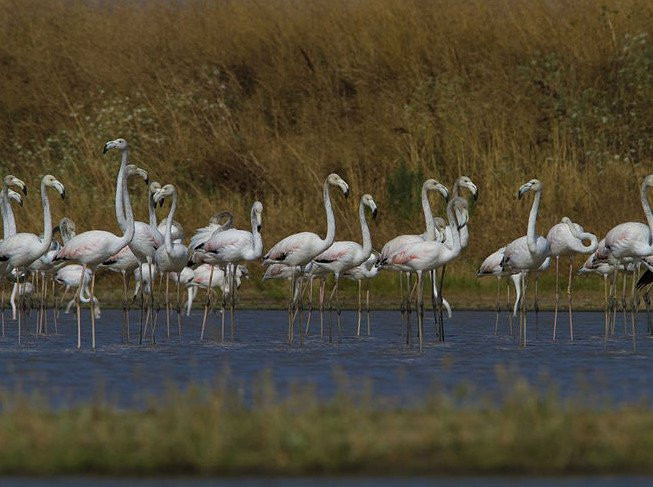 Lisbon Naturalist景点图片