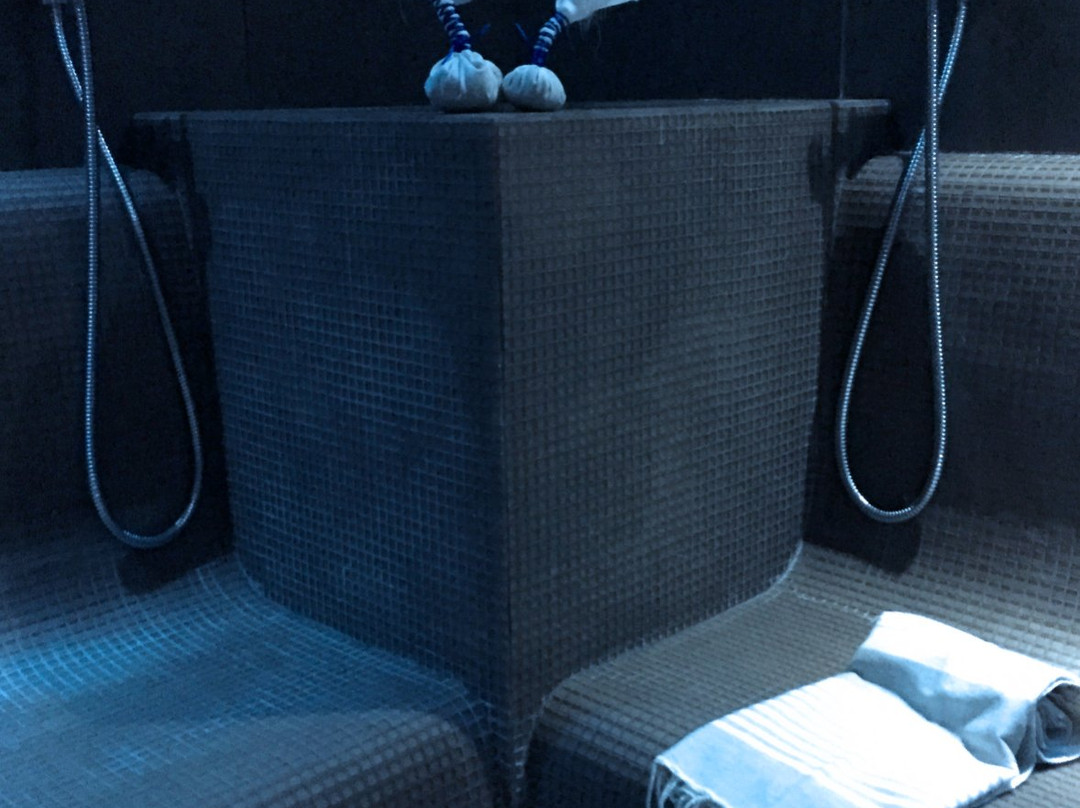 Frozen Natural Spa-萨卢佐必去景点