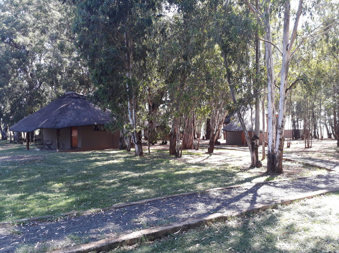 Bingelela Lodge主图