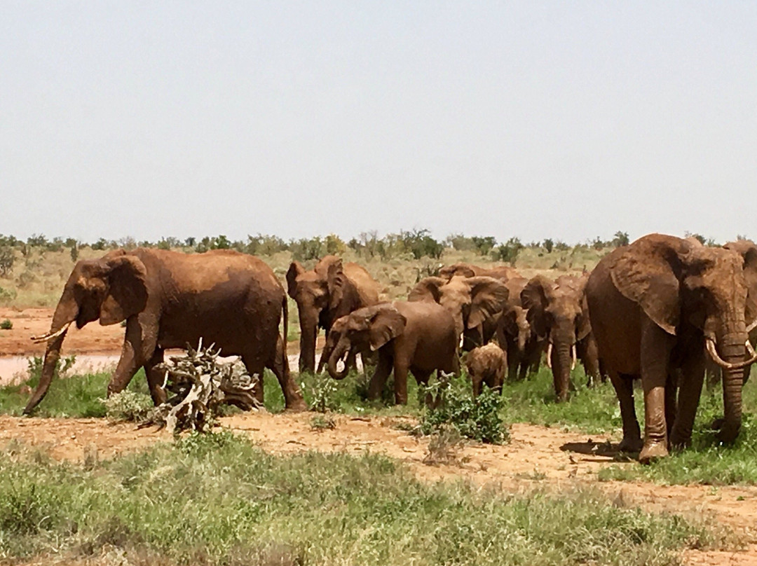 KenyaExpeditionLTD-蒙巴萨必去景点